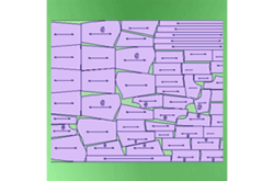 富怡超級排料系統